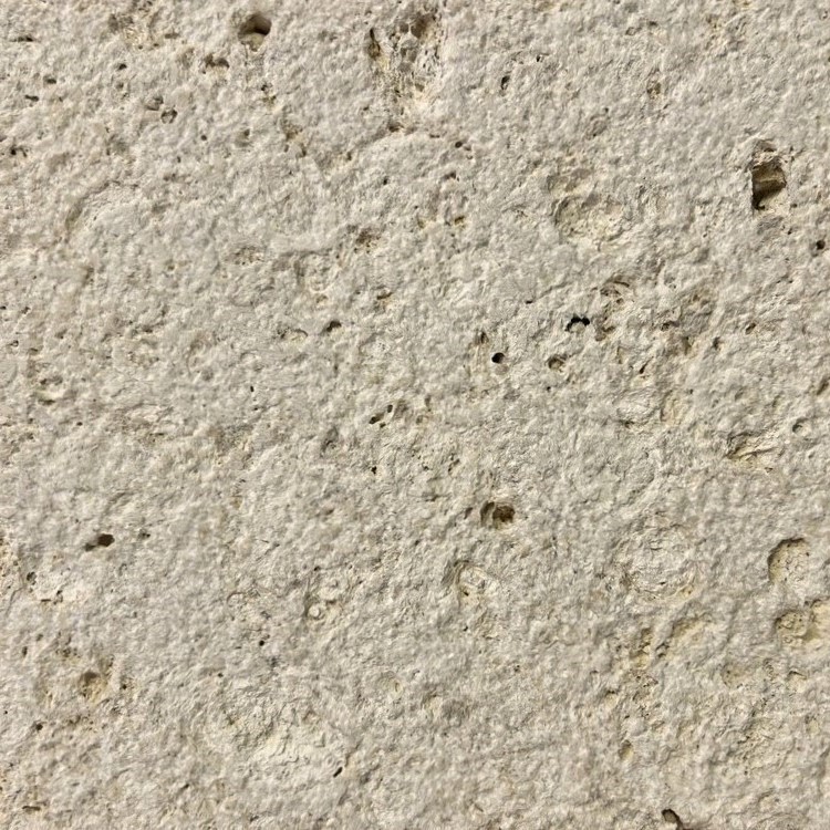 コーラルストーン